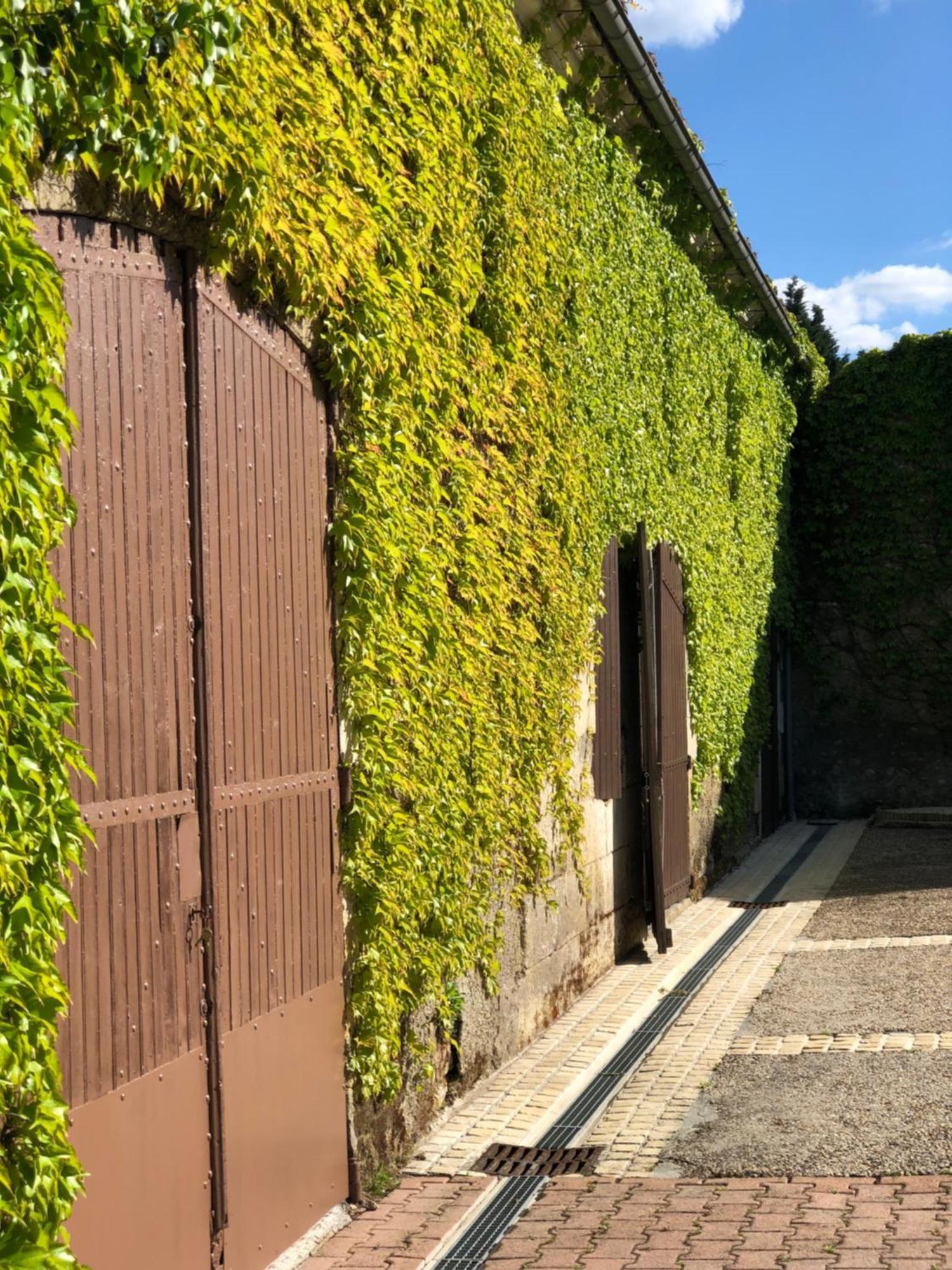 Saint-Palais-de-Negrignac Le Domaine Du Haut Preau מראה חיצוני תמונה